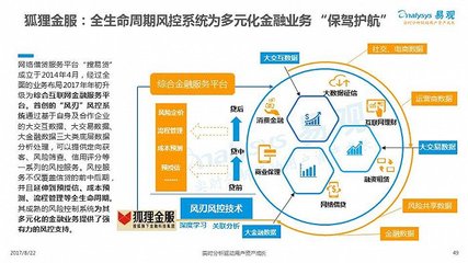2017中國互聯網金融行業互聯網數據服務專題分析 驅動、格局與挑戰